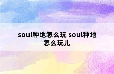 soul种地怎么玩 soul种地怎么玩儿